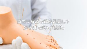 足つぼの模型に針が刺さっている様子。首コリ改善に役立つ足裏の反射区を解説する画像。