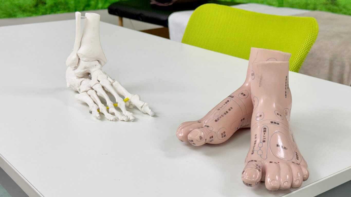 足裏の反射区を使い全身の不調をケアする足つぼの図解