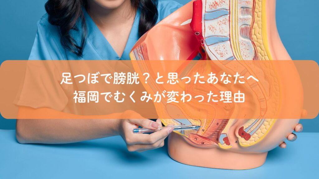 福岡の足つぼ施術で膀胱にアプローチし、むくみ改善の仕組みを説明しているイメージ