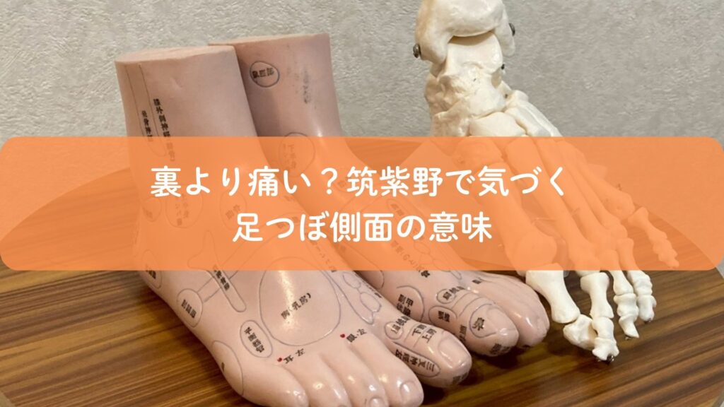 足つぼの反射区模型と骨模型で解説する側面の意味｜裏より痛い理由を筑紫野で説明