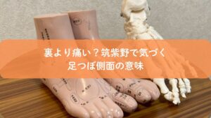 足つぼの反射区模型と骨模型で解説する側面の意味|裏より痛い理由を筑紫野で説明