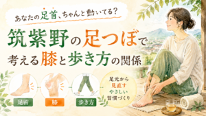 筑紫野の足つぼで足首の動きと膝・歩き方の関係を考えるイメージ